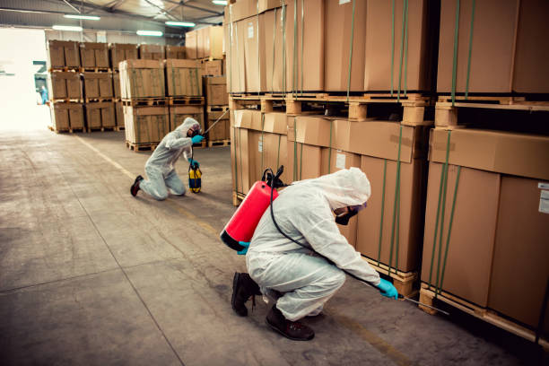 Best Emergency Pest Control  in Rosedale, MS