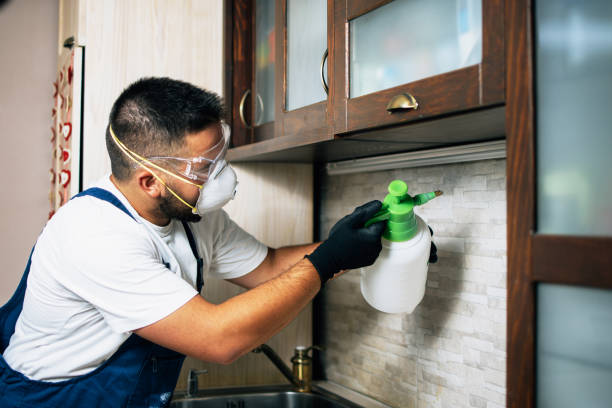 Best Bed Bug Extermination  in Rosedale, MS