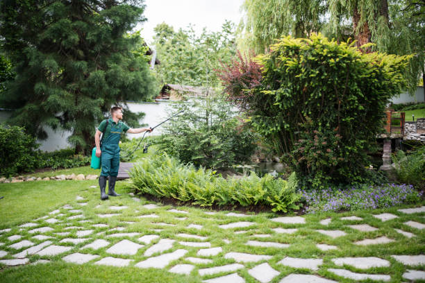 Best Ant Control Services  in Rosedale, MS