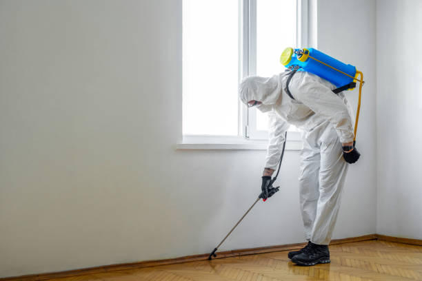 Best Pest Control for Restaurants  in Rosedale, MS