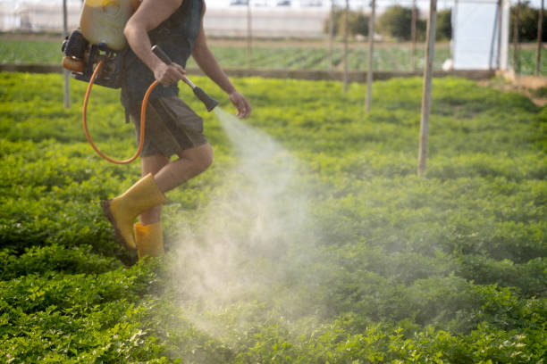 Best Exterminator Services  in Rosedale, MS