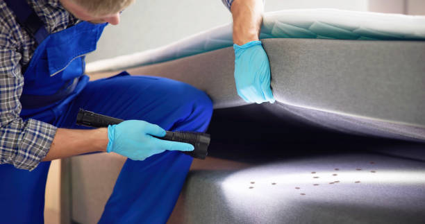 Best Best Pest Control Companies  in Rosedale, MS